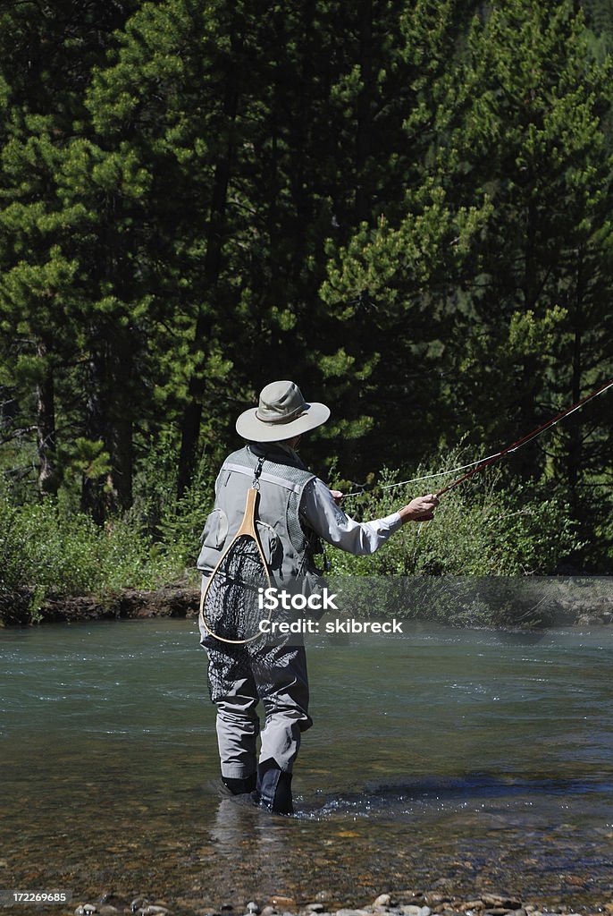 Donna pesca con la mosca 6 - Foto stock royalty-free di Abilità