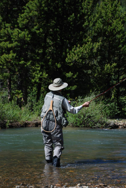 istock Woman Fly Fishing 6 172269685