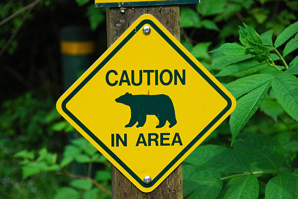Caution Bears stock photo