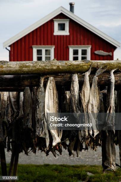 Photo libre de droit de Stockfish banque d'images et plus d'images libres de droit de Aliment - Aliment, Destination de voyage, Europe