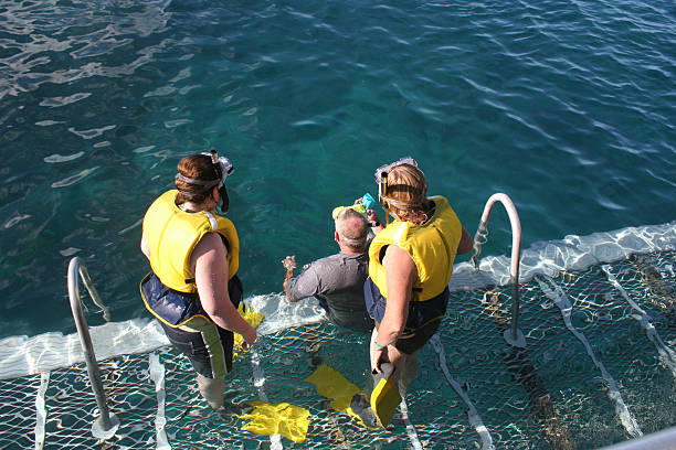 snorkeling "Tourists on a pontoon, preparing to snorkel on the Great Barrier Reef, Australia." great barrier reef queensland stock pictures, royalty-free photos & images