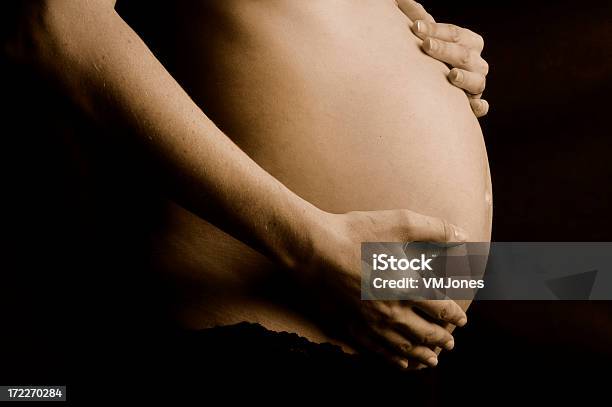 Mãe Grávida Barriga - Fotografias de stock e mais imagens de Abdómen - Abdómen, Abdómen Humano, Abraçar