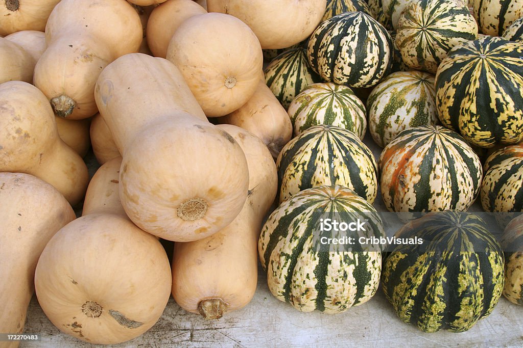 Fresco autunno Zucca Harvest - Foto stock royalty-free di Autunno