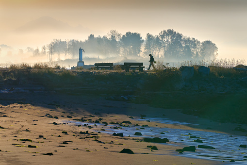 Morning mist at Garry Point making for a tranquil walk. Steveston. Richmond, BC.