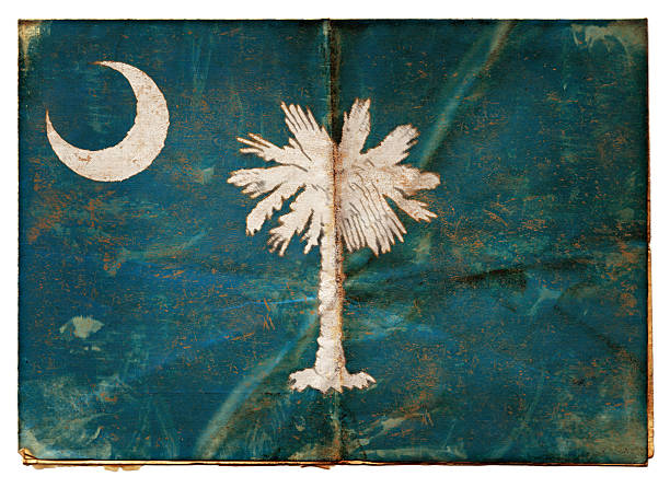 国旗のサウスキャロライナ xxl - south carolina flag palm tree dirty ストックフォトと画像