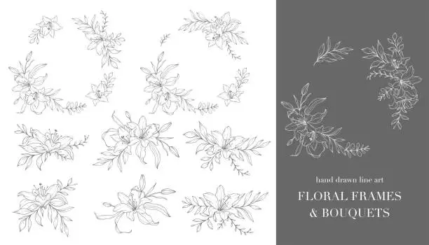 Vector illustration of Lily Flower Line Art. Floral Frames and Bouquets Line Art. Fine Line Lilies Frames Hand Drawn Illustration. Outline Leaves and Flowers. Botanical Coloring Page. Outline Lily Isolated on White