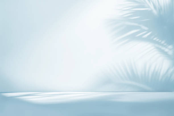 размытая тень от пальмовых листьев на светло-голубой стене. минималистичный абстрактный студийный фон для презентаций продуктов. весна и л - powder blue фотографии стоковые фото и изображения