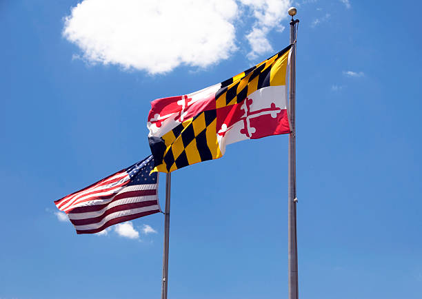 Maryland, USA Flags a Maryland flag and a US flag blowing in the wind baltimore maryland stock pictures, royalty-free photos & images