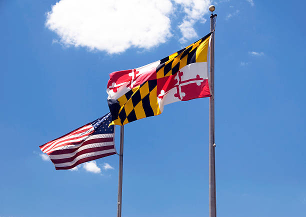 Maryland, USA Flags a Maryland flag and a US flag blowing in the wind maryland state colors stock pictures, royalty-free photos & images