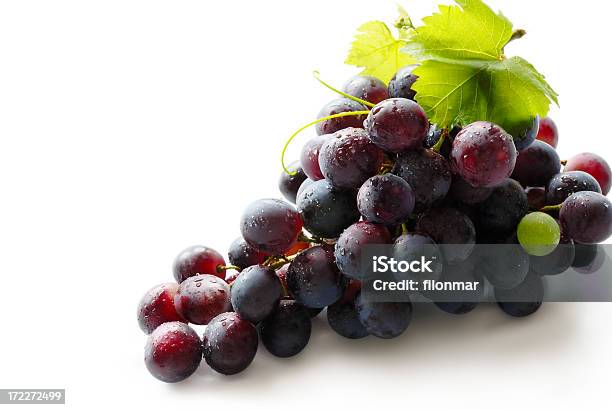 Uva Negra Foto de stock y más banco de imágenes de Antioxidante - Antioxidante, Comida sana, Comidas y bebidas