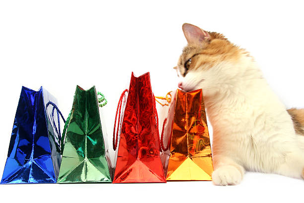 ご購入アイテム - domestic cat bag shopping gift ストックフォトと画像