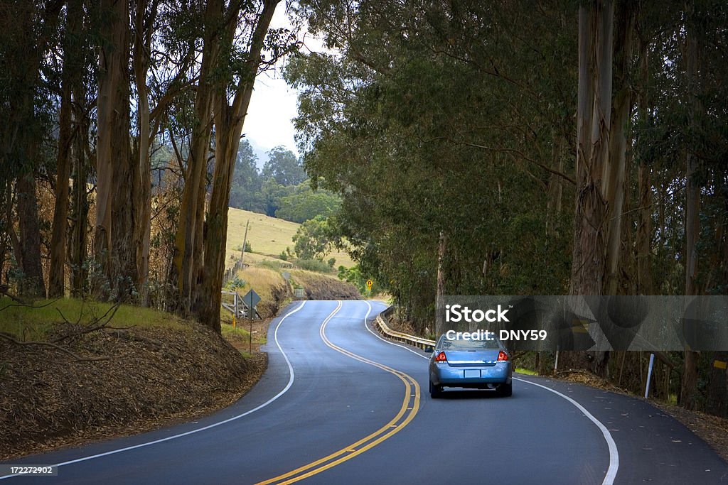 Domingo de coche - Foto de stock de Carretera con curvas libre de derechos