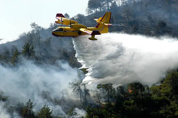 Airplane throwing water against forest fire