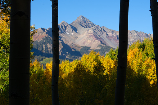 Fall colors in the San Juan mountains, near Telluride Colorado, Wilson peak, Trout lake, Aspen trees