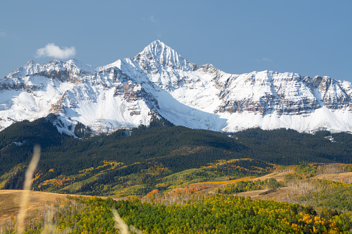 Fall colors in the San Juan mountains, near Telluride Colorado, Wilson peak, Trout lake, Aspen trees