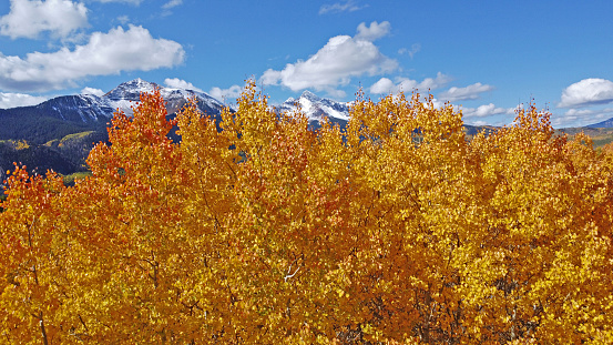 Fall colors in the San Juan mountains, near Telluride Colorado, Wilson peak, Trout lake, Aspen trees