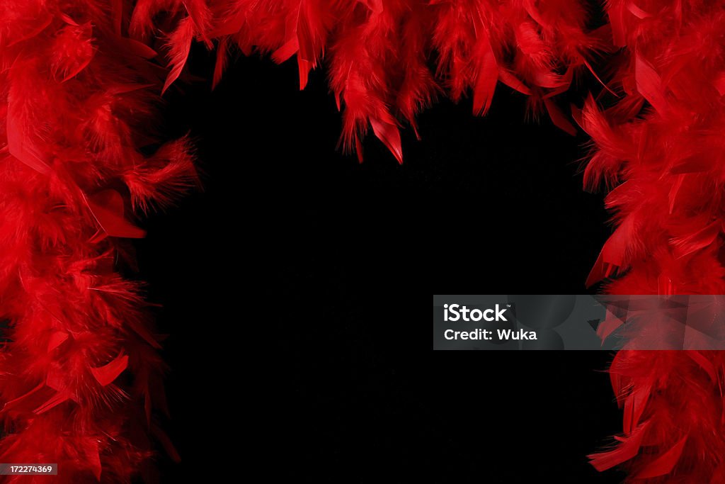 Boa 페더스 – 프레임 - 로열티 프리 깃털 목도리 스톡 사진