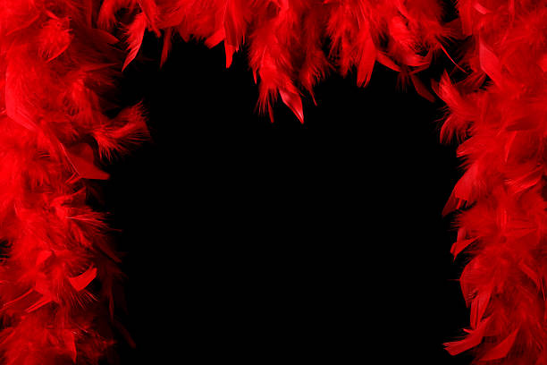 Boa Feathers Frame Stock Photo - Download Image Now - Feather Boa, Feather,  Red - iStock