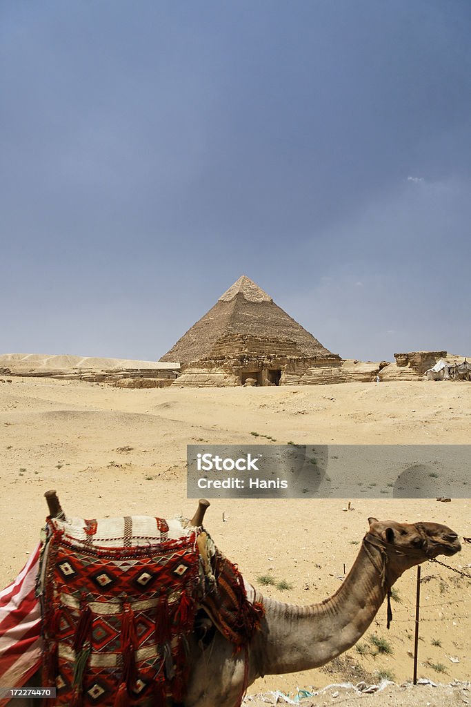 Gizé, Egipto - Royalty-free Adulação Foto de stock