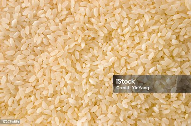 Foto de Arroz De Sushi Japonês e mais fotos de stock de Alimentação Saudável - Alimentação Saudável, Arroz - Alimento básico, Arroz de Sushi