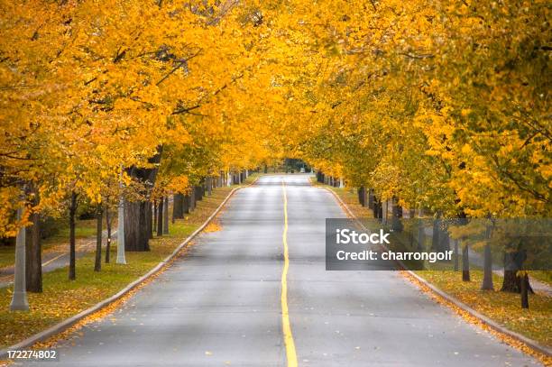 Outono Estrada - Fotografias de stock e mais imagens de Canadá - Canadá, Estrada, Folha