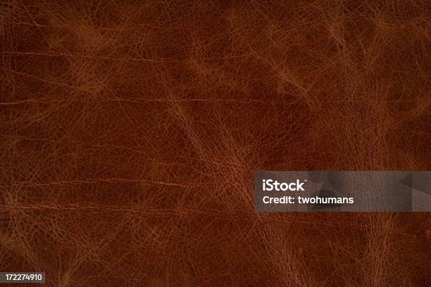 Smooth Leather Stock Photo - Download Image Now - Abstract, Abstract Backgrounds, Animal Body Part