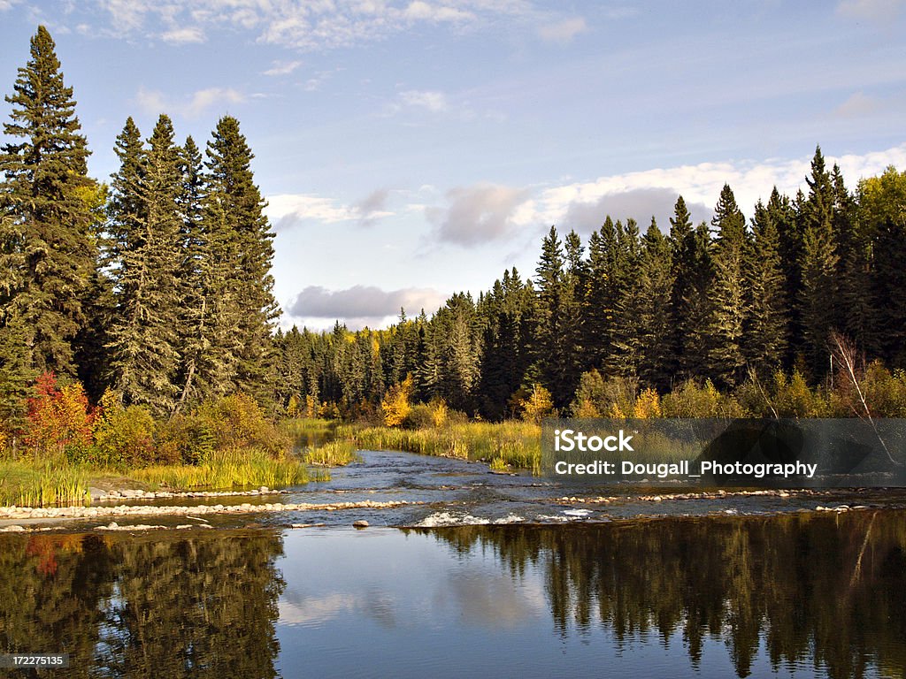 Rivière peu profonde dans la forêt - Photo de Saskatchewan libre de droits