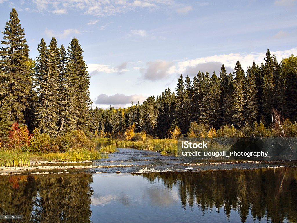 Fiume nella foresta profonda - Foto stock royalty-free di Saskatchewan