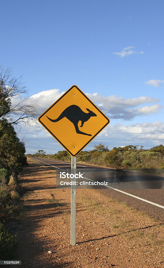 Kangaroos avanti - Foto stock royalty-free di Animale
