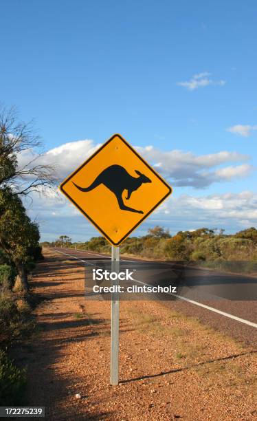 Kangaroos Avanti - Fotografie stock e altre immagini di Animale - Animale, Australia, Blu