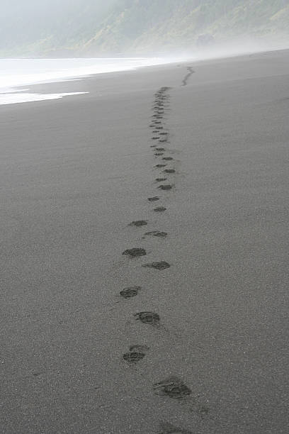 istock Footsteps Leading to Fog 172275465
