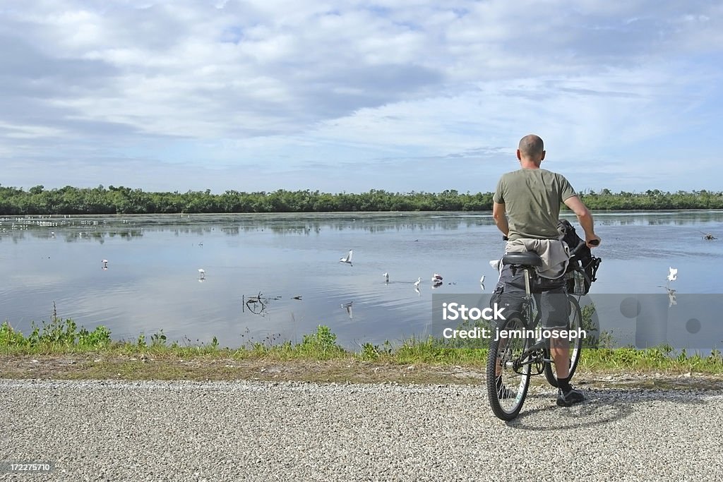 Bicyclist - Foto stock royalty-free di Adulto