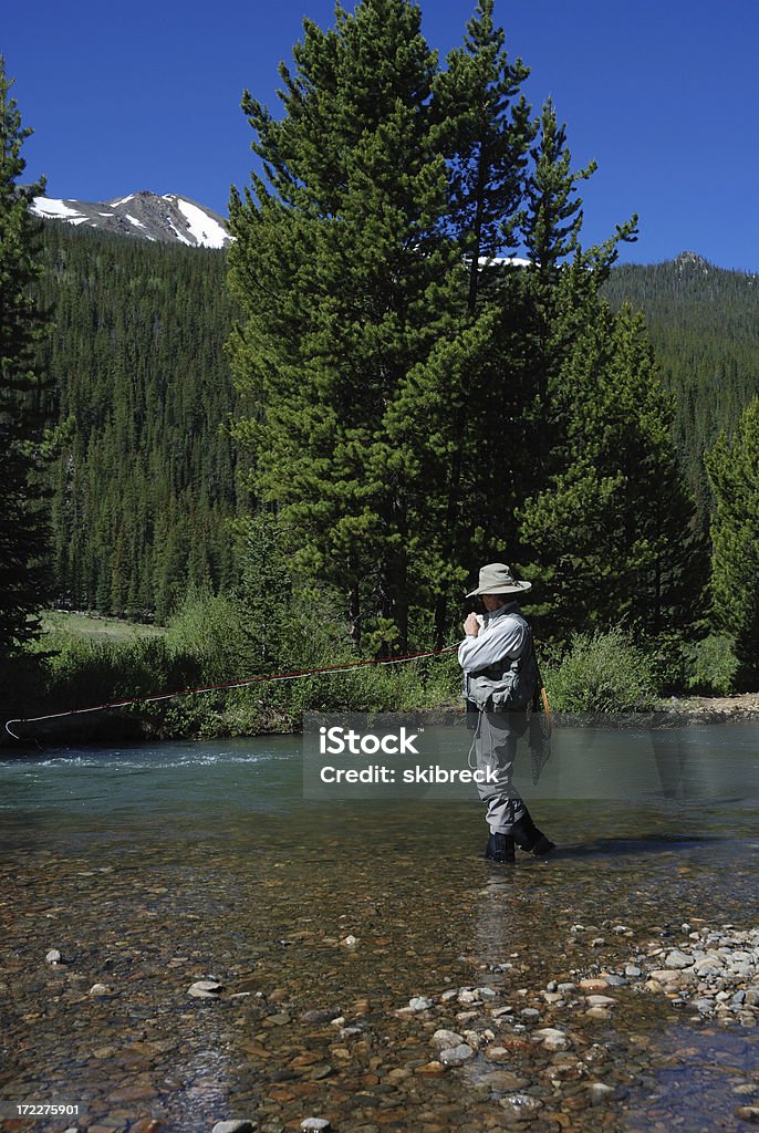 Woman Fly Fishing 3 Woman selecting the right fly while standing in the Snake River in Colorado. Adult Stock Photo