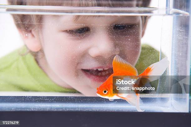 Boy Talking To Little Goldfish Stock Photo - Download Image Now - Child, Fish, Pets