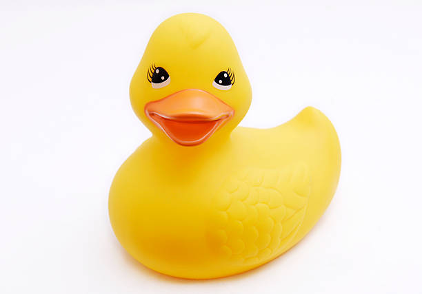 istock Smiling yellow rubber duck on white background 172276279
