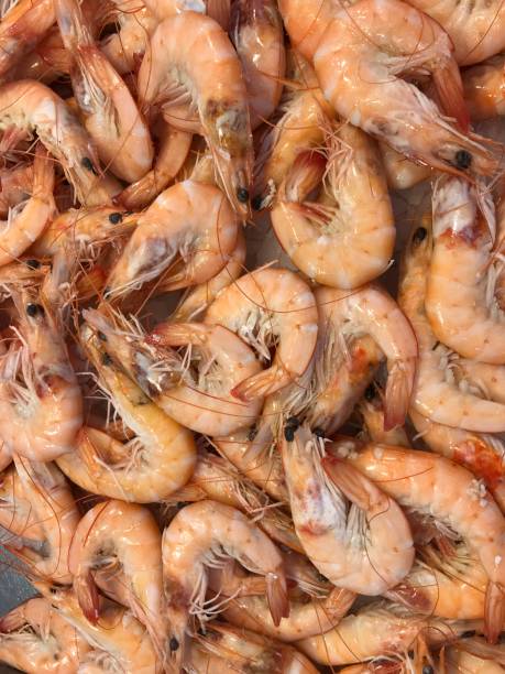 istock shrimps at a fish stand in a market hall 1722762929