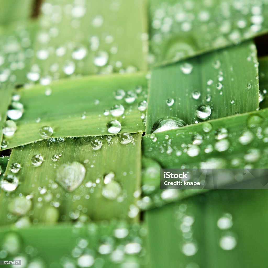 Green - Lizenzfrei Bildhintergrund Stock-Foto