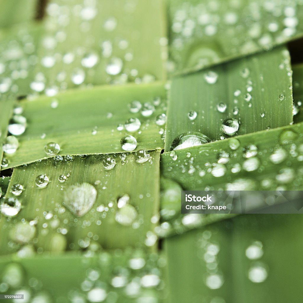 Verde - Foto stock royalty-free di Ambiente