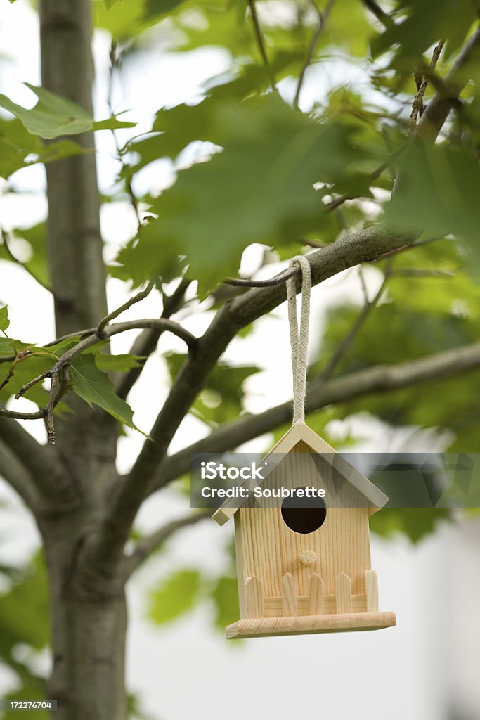 Casa de Pássaro - Foto de stock de Carvalho - Árvore de folha caduca royalty-free