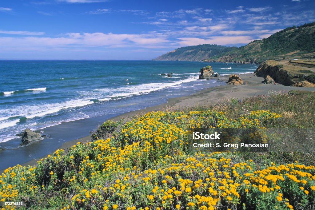 Primavera Paesaggio marino - Foto stock royalty-free di Mendocino