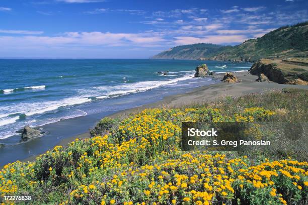 春の海 - メンドシノのストックフォトや画像を多数ご用意 - メンドシノ, カリフォルニア州, 浜辺