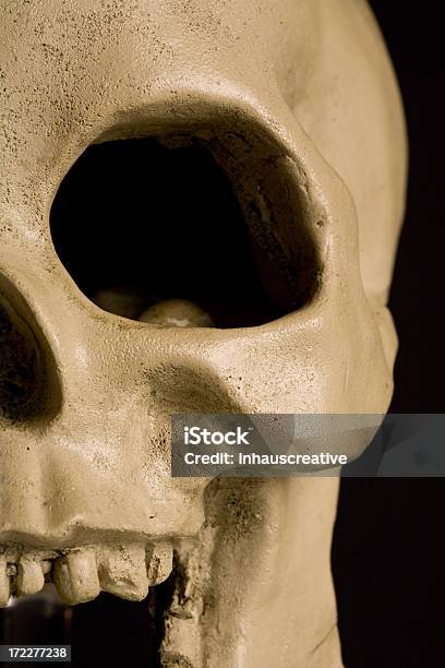 Cráneo Foto de stock y más banco de imágenes de Celebración - Acontecimiento - Celebración - Acontecimiento, Conmoción, Cráneo humano