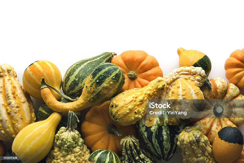 Automne frontière de Squash - Photo de Gourde - Cucurbitacée libre de droits