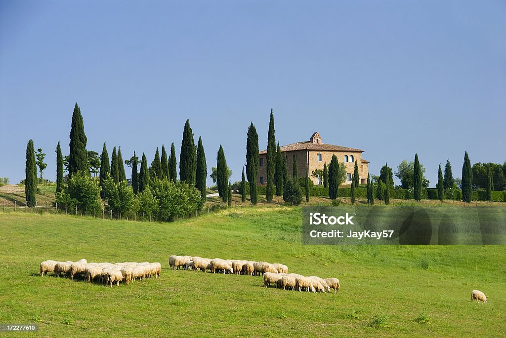 Casa de Quinta em Toscana - Royalty-free Toscana - Itália Foto de stock