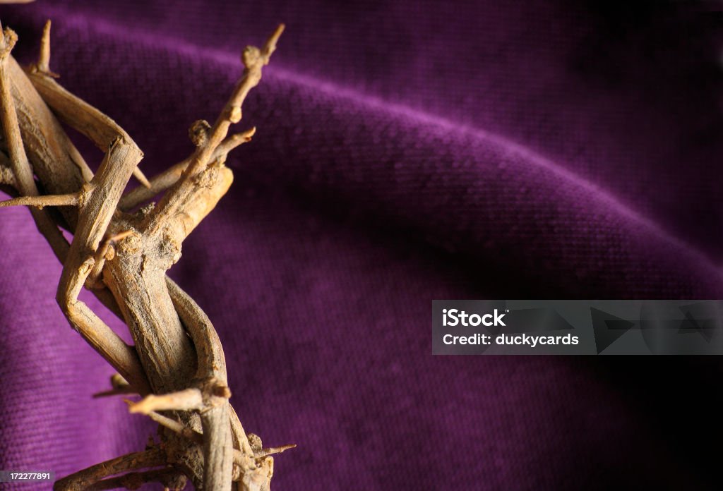 Crown of Thorns Background Crown of thorns on a purple cloth background. Backdrop - Artificial Scene Stock Photo