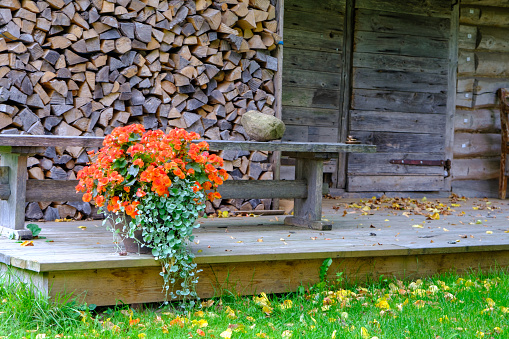 A very old wooden barn in front with firewood and flowers. An authentic example of a Latvian farm building.