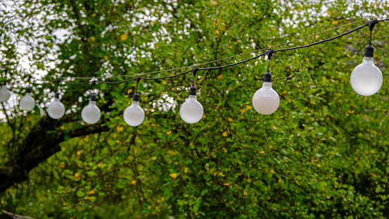 garland of light bulbs on the background of trees. Light bulb decor outdoor party.