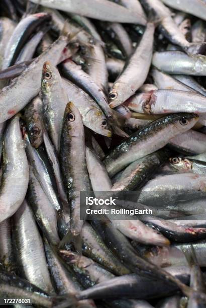 Foto de Mercado De Peixe Série e mais fotos de stock de Cavalinha - Peixe de água salgada - Cavalinha - Peixe de água salgada, Pegajoso, Alimentação Saudável