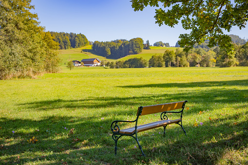 Idyllic scene in nature