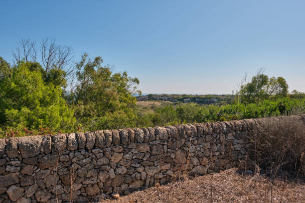 istock Dry stone wall cutting the photo field 1722782337